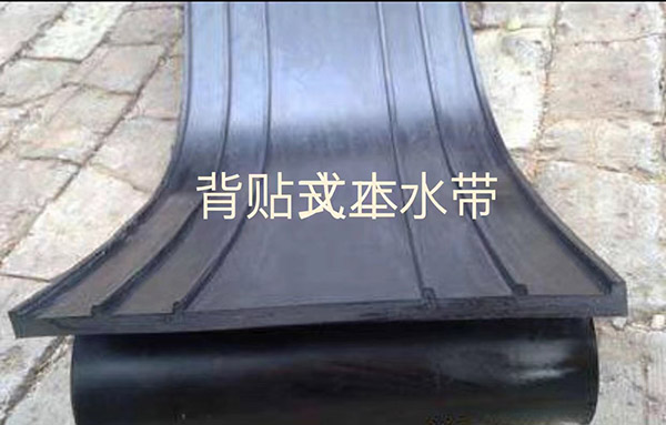 背贴式止水带.jpg 背贴式止水带.jpg